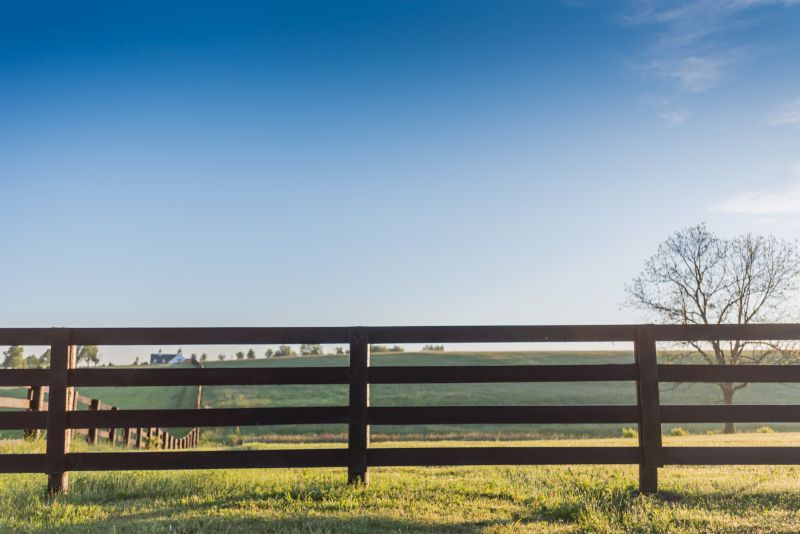 Horse Fence Repair